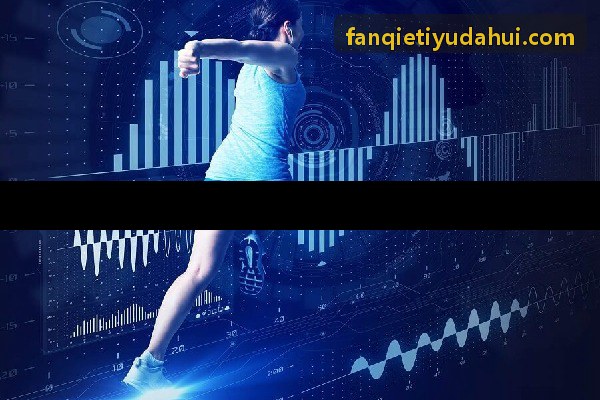 FANQIETIYU版权保护规范